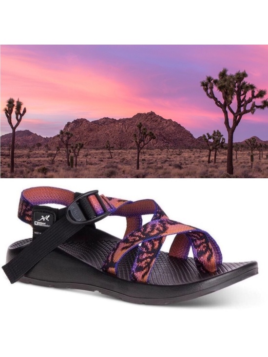 Chaco Shoes - Chaco Z/2 Classic National Park Foundation Joshua Tree Sandals NPF USA Exclusive